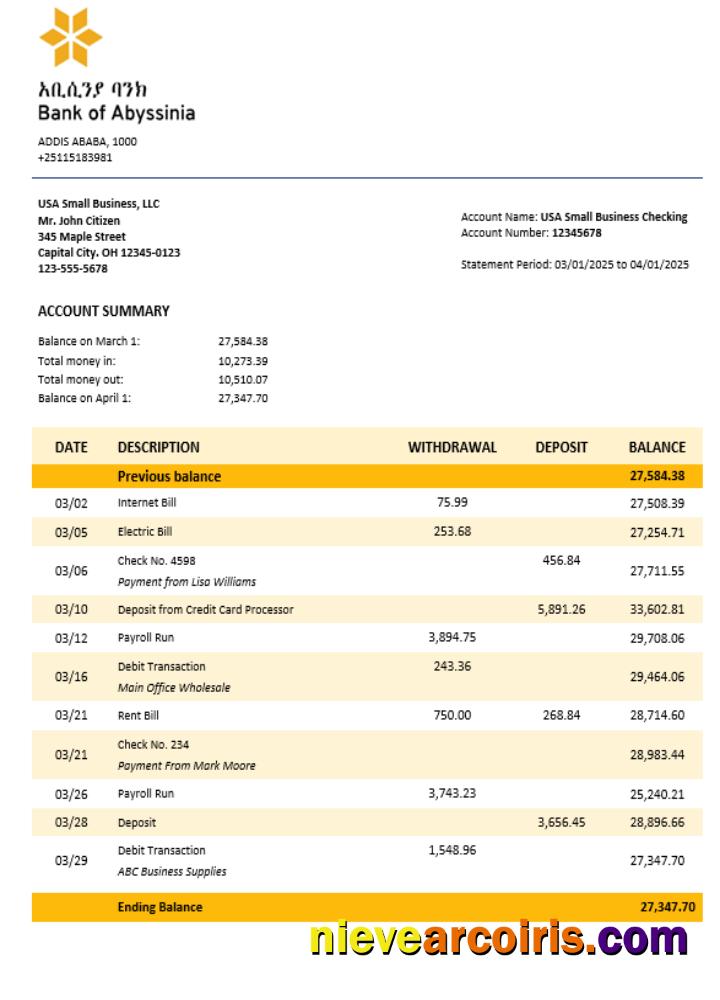 Bank of Abyssinia business bank statement